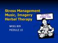 Stress Management Music, Imagery Herbal Therapy PowerPoint PPT Presentation