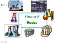 Chapter 5 Gases PowerPoint PPT Presentation