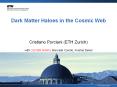 Dark Matter Haloes in the Cosmic Web PowerPoint PPT Presentation