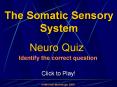 The Somatic Sensory System: Quiz Game PowerPoint PPT Presentation