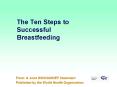 The Ten Steps to Successful Breastfeeding PowerPoint PPT Presentation