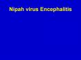 Nipah virus Encephalitis PowerPoint PPT Presentation