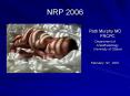 NRP 2006 PowerPoint PPT Presentation