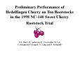 PowerPoint Presentation  -  Preliminary Performance of Hedlfingen Cherry on Dwarf Rootstocks PowerPoint PPT Presentation