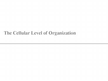 The Cellular Level of Organization