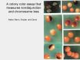 A colony color assay that measures nondisjunction and chromosome loss PowerPoint PPT Presentation
