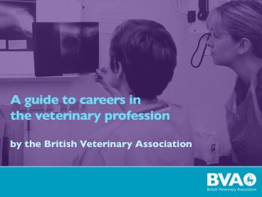 Do you Want To Be A Vet?