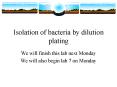 Isolation of bacteria by dilution plating PowerPoint PPT Presentation