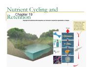 Nutrient Cycling and Retention