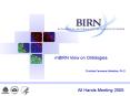 mBIRN View on Ontologies PowerPoint PPT Presentation