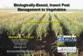 BiologicallyBased, Insect Pest Management in Vegetables PowerPoint PPT Presentation