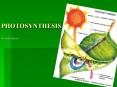 PHOTOSYNTHESIS Bio 11 Mr. McIntyre PowerPoint PPT Presentation