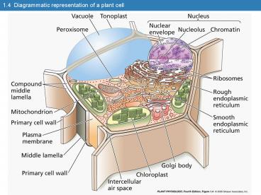presentation player overlay