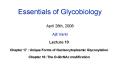 Essentials of Glycobiology April 28th, 2008 Ajit Varki PowerPoint PPT Presentation