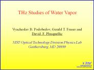 THz Studies of Water Vapor
