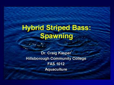 Hybrid Striped Bass: Spawning