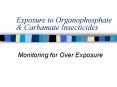 Exposure to Organophosphate PowerPoint PPT Presentation