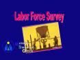 Labor Force Survey PowerPoint PPT Presentation