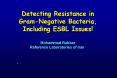 Detecting Resistance in GramNegative Bacteria, Including ESBL Issues PowerPoint PPT Presentation