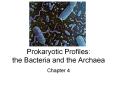 Prokaryotic Profiles: the Bacteria and the Archaea PowerPoint PPT Presentation