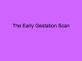 The Early Gestation Scan PowerPoint PPT Presentation