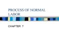 PROCESS OF NORMAL LABOR PowerPoint PPT Presentation