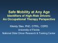 Safe Mobility at Any Age Identifiers of High-Risk Drivers: An Occupational Therapy Perspective PowerPoint PPT Presentation
