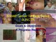 Breast Cancer Strategy Group of INCTR PowerPoint PPT Presentation
