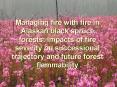 Managing fire with fire in Alaskan black spruce forests: Impacts of fire severity on successional tr PowerPoint PPT Presentation