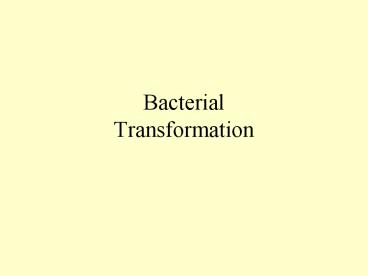 Bacterial Transformation