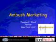Ambush Marketing PowerPoint PPT Presentation