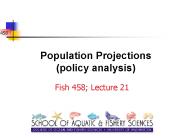 Population Projections policy analysis