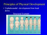 Principles of Physical Development