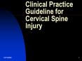 Clinical Practice Guideline for Cervical Spine Injury PowerPoint PPT Presentation