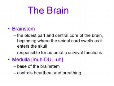 The Brain