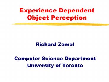 Experience Dependent Object Perception
