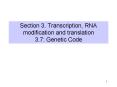 Section 3. Transcription, RNA modification and translation 3.7: Genetic Code PowerPoint PPT Presentation