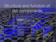 Structure and function of cell components