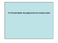 10. Phospholipids, triacylglycerols and complex Lipids PowerPoint PPT Presentation