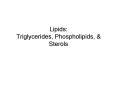 Lipids: Triglycerides, Phospholipids, PowerPoint PPT Presentation