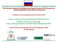 The Russian Natural Gas Market and Export from an EUPerspective: Modeling Mediumterm Export Scenario PowerPoint PPT Presentation