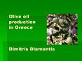 Olive oil production in Greece Dimitris Diamantis PowerPoint PPT Presentation