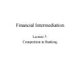 Financial Intermediation PowerPoint PPT Presentation