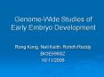 GenomeWide Studies of Early Embryo Development PowerPoint PPT Presentation