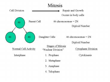Mitosis