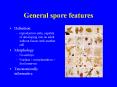 General spore features PowerPoint PPT Presentation