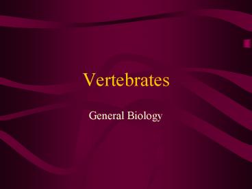 Vertebrates