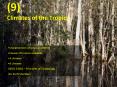 9 Climates of the Tropics PowerPoint PPT Presentation