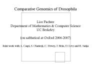 Comparative Genomics of Drosophila