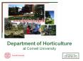 Department of Horticulture at Cornell University PowerPoint PPT Presentation